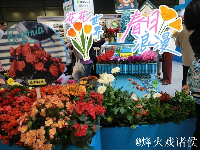 各地推出系列活动吸引游客——“花”为媒释放文旅消费潜能 各地推出系列活动吸引游客——“花”为媒释放文旅消费潜能